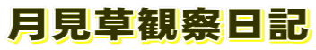 �������̊ώ@���L