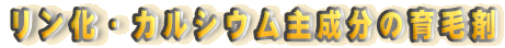 �������E�J���V�E���听���̈�э�