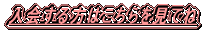 ͂Ă